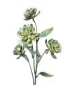 sukulent gałązka 67cm