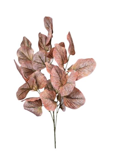 eukaliptus gałązka 79cm