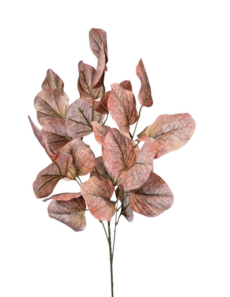 eukaliptus gałązka 79cm