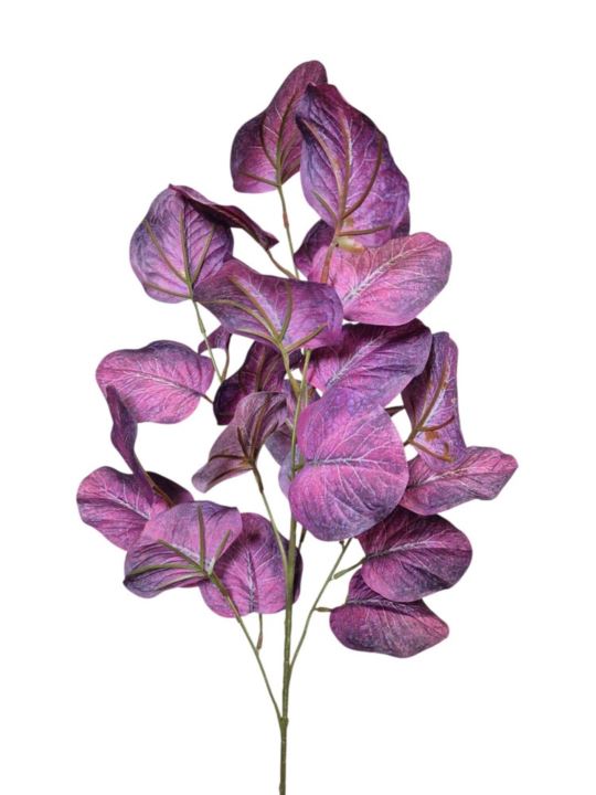 eukaliptus gałązka 79cm