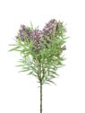 ROKITNIK GAŁĄZKA 60CM  OLD VIOLET