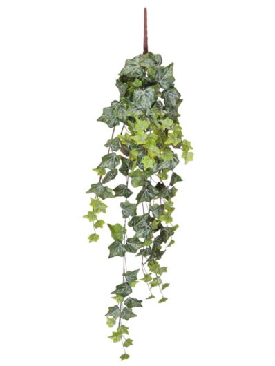 bluszcz 90cm