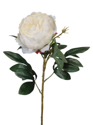 PEONIA SZTUCZNA GAŁĄZKA 62CM CREAM
