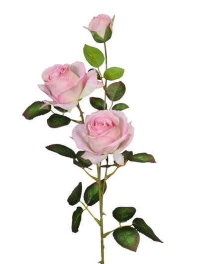 RÓŻA GAŁĄZKA WIELOKWIATOWA Z PĄKIEM 82CM WHT PK
