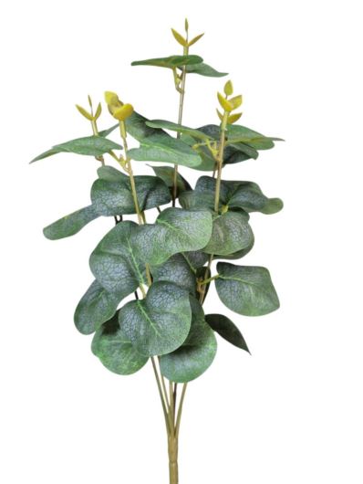 EUKALIPTUS BUKIET 5-RAMIENNY 35CM GSE-56 GREEN