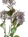 SKIMIA SZTUCZNA GAŁĄZKA 62CM PURPLE