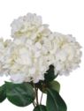 HORTENSJA BUKIET 5-KWIATOWY 40CM WHITE