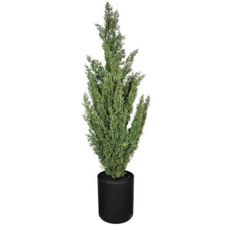 CYPRYS SZTUCZNA GUMOWA ROŚLINA 78CM GREEN