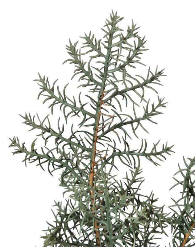 JAŁOWIEC SZTUCZNY GAŁĄZKA GUMOWA IGLASTA 85CM
