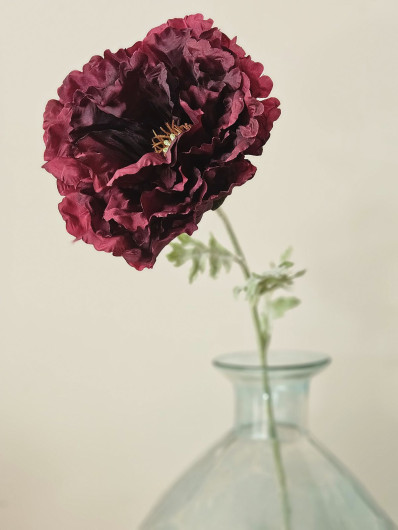 MAK POJEDYNCZY FLOCK STEM 77CM FMN1012 EGGPLANT