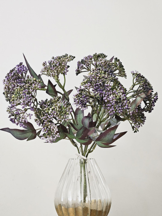 SKIMIA JAPOŃSKA PĘCZEK 34CM  DK VIOLET