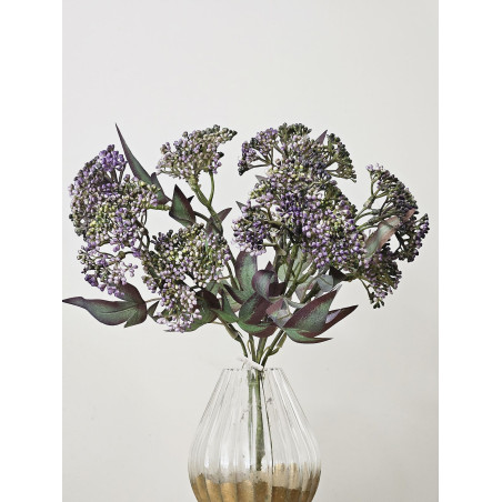 SKIMIA JAPOŃSKA PĘCZEK 34CM  DK VIOLET