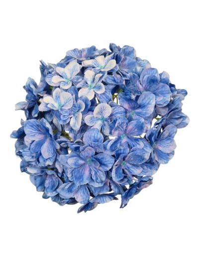 HORTENSJA GŁOWA 20CM CHQ07 12 MARINE BLUE