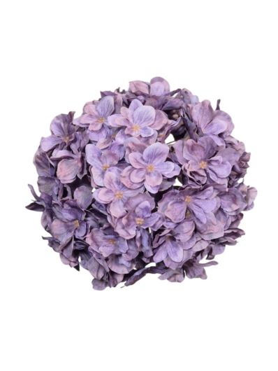 HORTENSJA GŁOWA 20CM CHQ07 A 12 LILAC