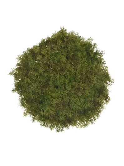 MATA MECH-CHROBOTEK 40CM ECO013 GREEN BROWN