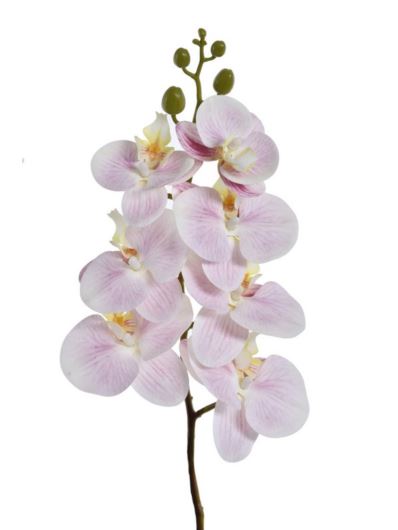 STORCZYK POJ. 66CM ECO033 RT POWDER PINK