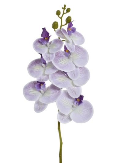 STORCZYK POJ. 66CM ECO033 RT POWDER VIOLET