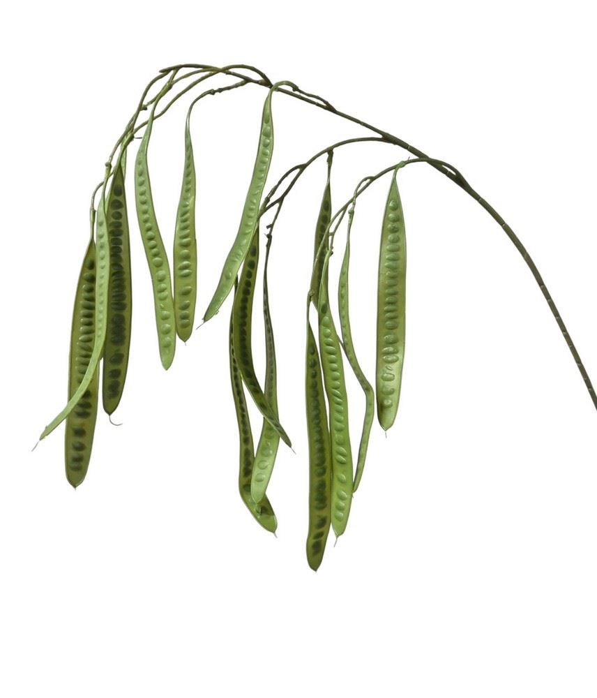 PETAI GROSZEK GAŁĄZKA 95CM GREEN