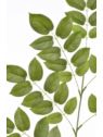 LIŚĆ CYTRUSOWY 100CM JUN121 GREEN