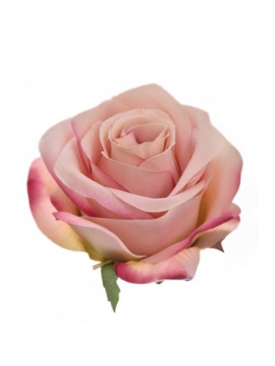RÓŻA WYROBOWA 8CM SUN385 LT MAUVE