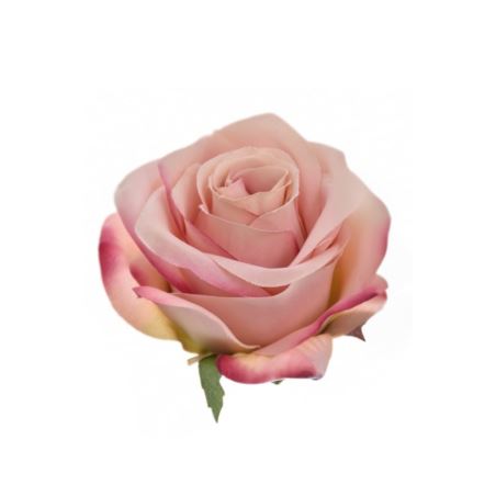 RÓŻA WYROBOWA 8CM SUN385 LT MAUVE