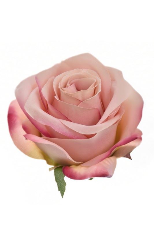 RÓŻA WYROBOWA 8CM SUN385 LT MAUVE