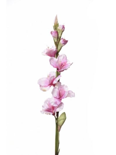 MIECZYK POJEDYNCZY 85CM SUN367 DEEP PINK