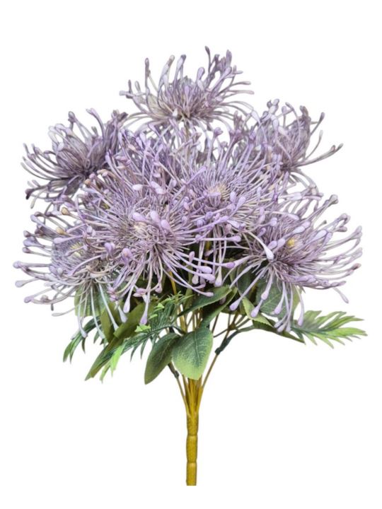 LEUCOSPERMUM BUK. 12 KW. FJ069 42CM VIOLET