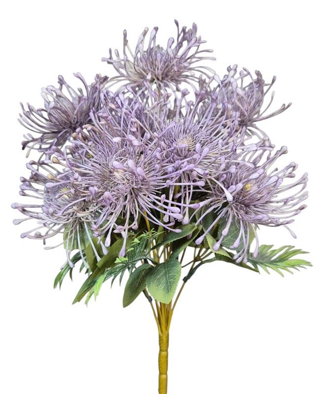 LEUCOSPERMUM BUK. 12 KW. FJ069 42CM VIOLET