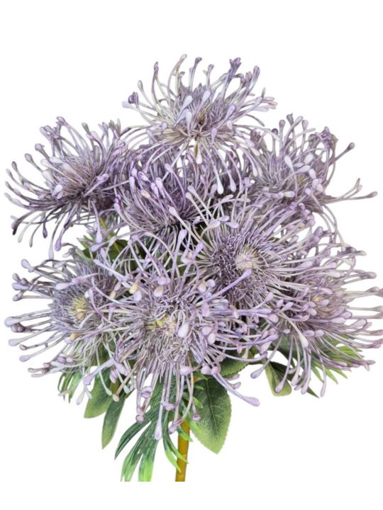 LEUCOSPERMUM BUK. 12 KW. FJ069 42CM VIOLET