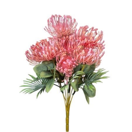 LEUCOSPERMUM BUK. 12 KW. FJ069 42CM LT PINK