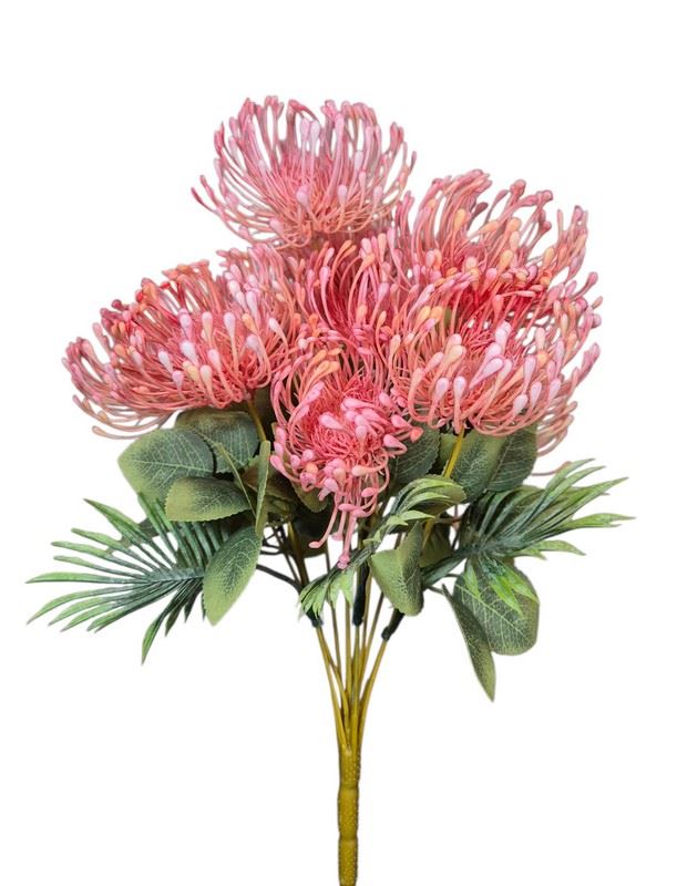 LEUCOSPERMUM BUK. 12 KW. FJ069 42CM LT PINK