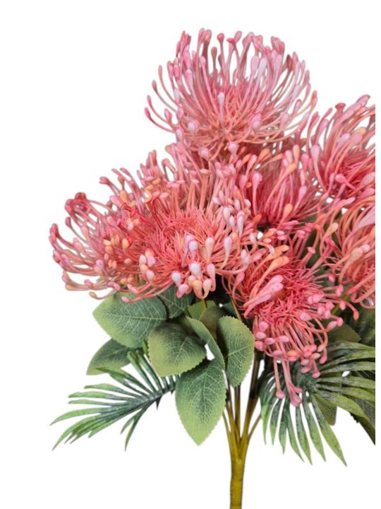 LEUCOSPERMUM BUK. 12 KW. FJ069 42CM LT PINK