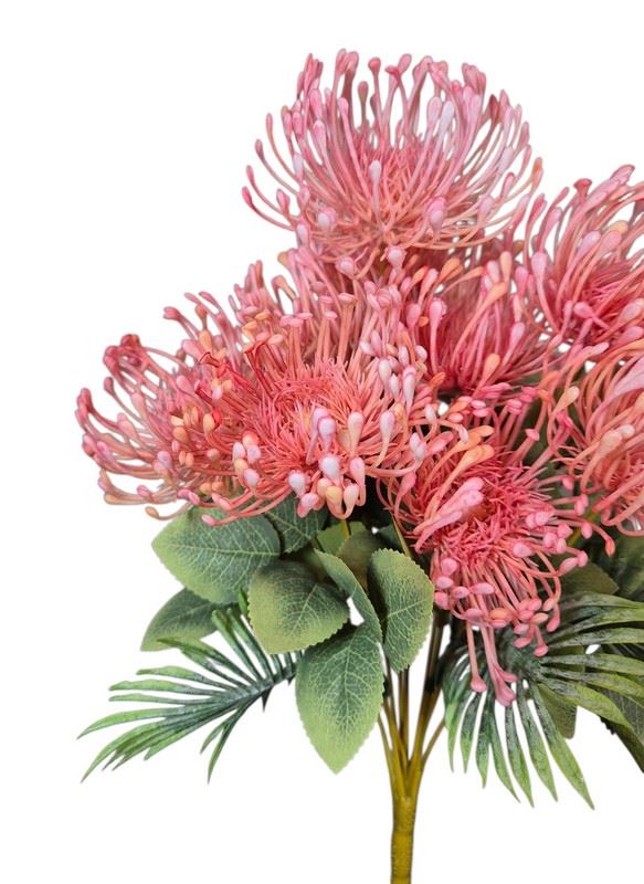 LEUCOSPERMUM BUK. 12 KW. FJ069 42CM LT PINK