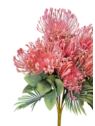 LEUCOSPERMUM BUK. 12 KW. FJ069 42CM LT PINK