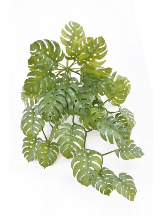 MONSTERA ZWISAJĄCA JUN122 65CM GREEN