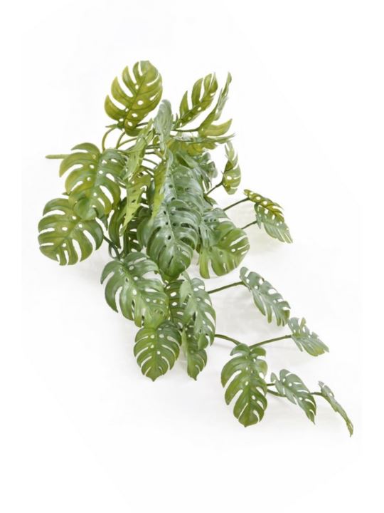 MONSTERA ZWISAJĄCA JUN122 65CM GREEN