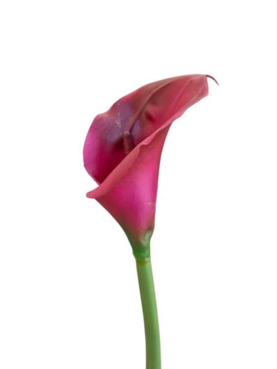 CALLA GUMA 70 CM AL45085 C33 RED