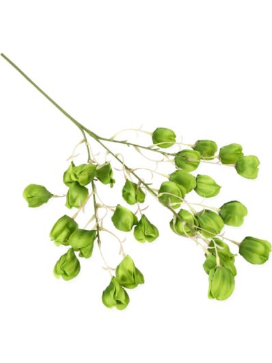 MIECHUNKA - PHYSALIS  80CM /5123 GREEN