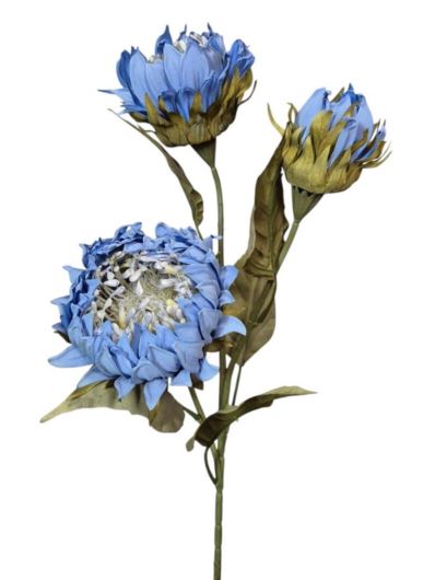 PROTEA 3 KWIATY 77CM /6387 BLUE