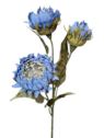 PROTEA 3 KWIATY 77CM /6387 BLUE