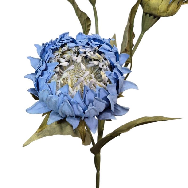 PROTEA 3 KWIATY 77CM /6387 BLUE