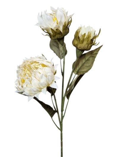 PROTEA 3 KWIATY 77CM /6387 CREAM WHITE