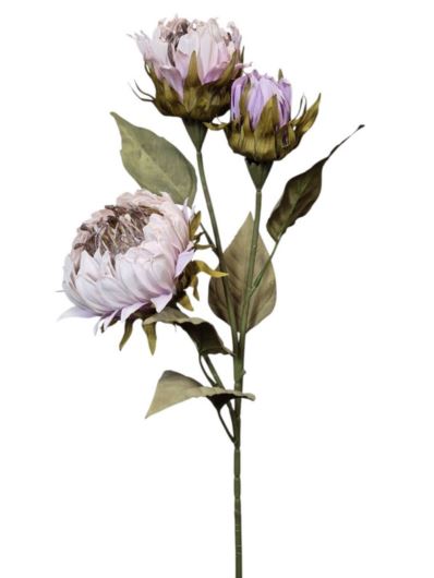 PROTEA 3 KWIATY 77CM /6387 LT VIOLET