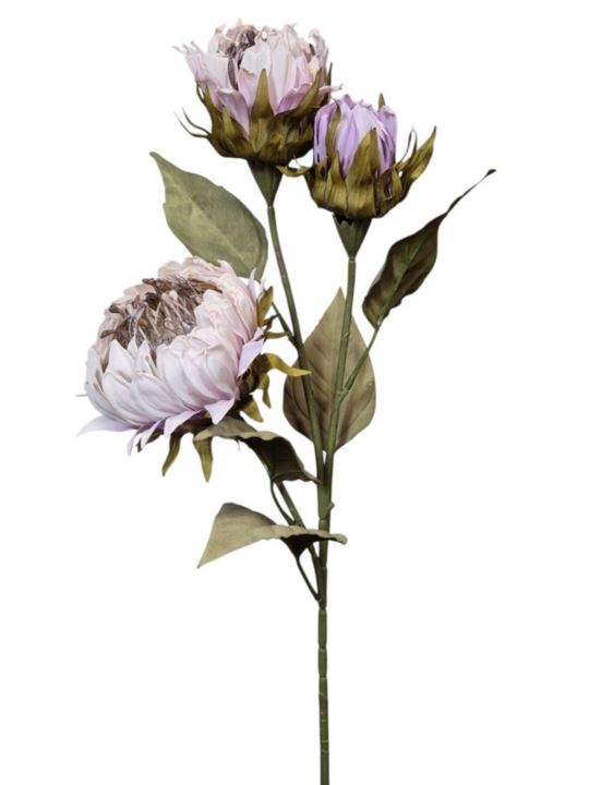 PROTEA 3 KWIATY 77CM /6387 LT VIOLET