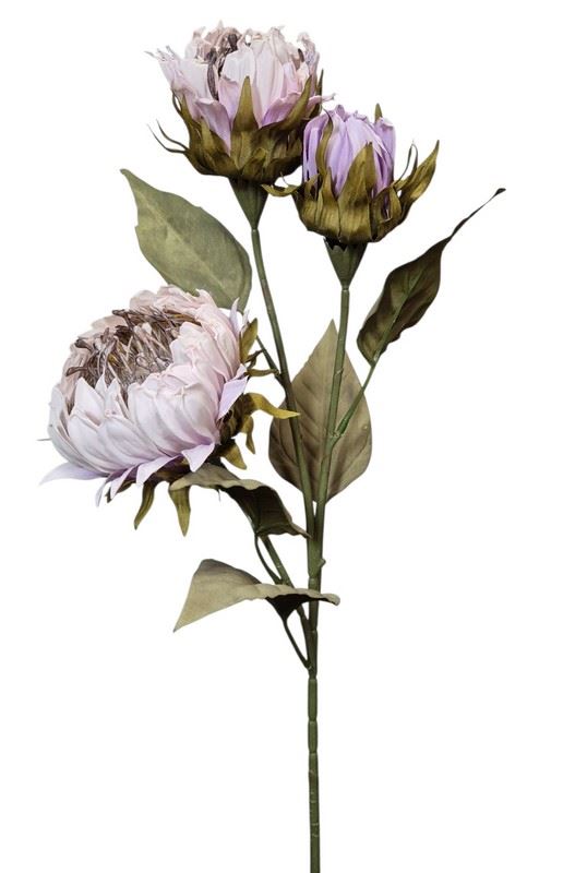 PROTEA 3 KWIATY 77CM /6387 LT VIOLET