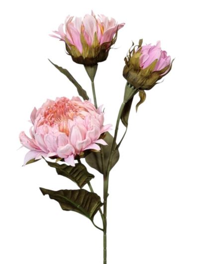 PROTEA 3 KWIATY 77CM /6387 LT PINK