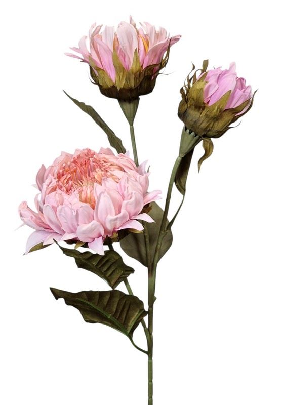 PROTEA 3 KWIATY 77CM /6387 LT PINK