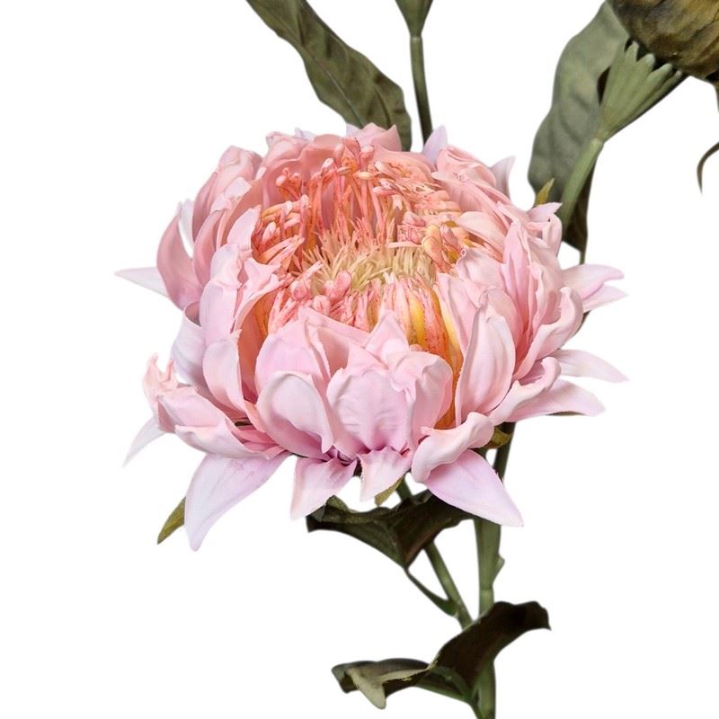 PROTEA 3 KWIATY 77CM /6387 LT PINK