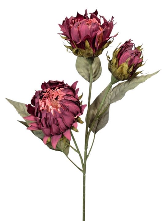 PROTEA 3 KWIATY 77CM /6387 BURGUNDY